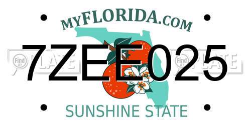 7ZEE025 Florida License Plate