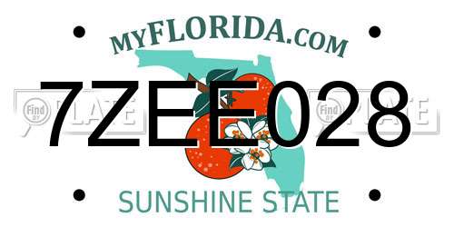7ZEE028 Florida License Plate