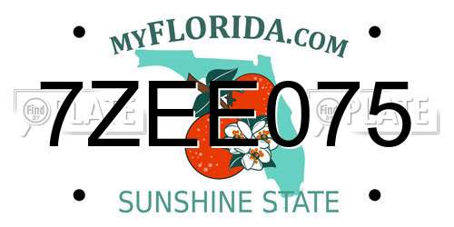 7ZEE075 Florida License Plate
