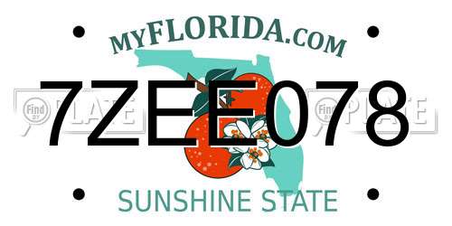 7ZEE078 Florida License Plate