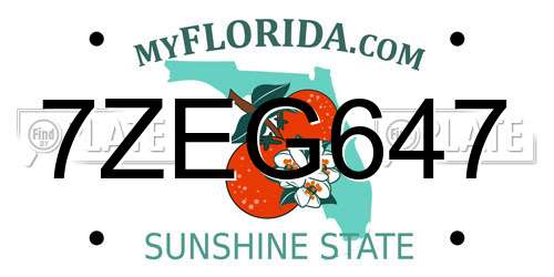 7ZEG647 Florida License Plate