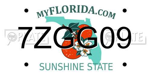 7ZGG09 Florida License Plate