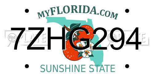 7ZHG294 Florida License Plate