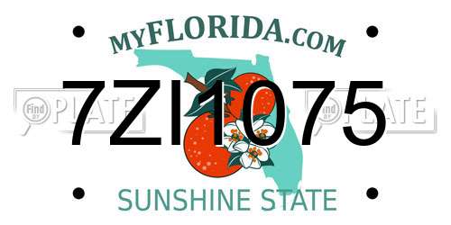 7ZI1075 Florida License Plate