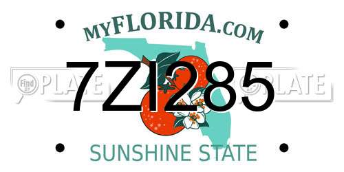 7ZI285 Florida License Plate