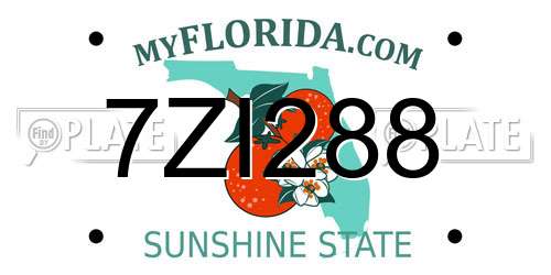 7ZI288 Florida License Plate