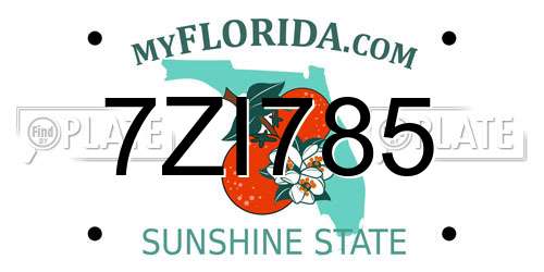 7ZI785 Florida License Plate