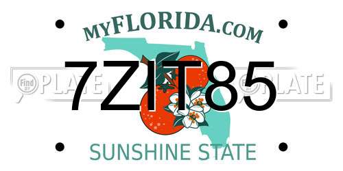 7ZIT85 Florida License Plate