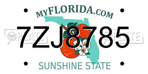 7ZJ8785 Florida License Plate