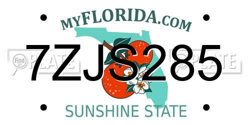 7ZJS285 Florida License Plate