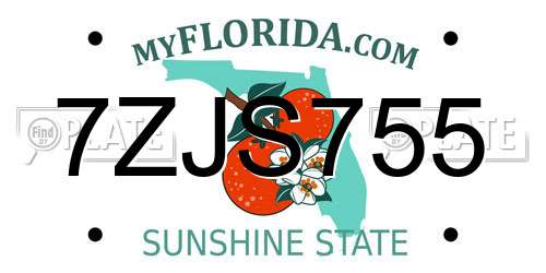 7ZJS755 Florida License Plate
