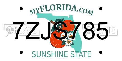 7ZJS785 Florida License Plate