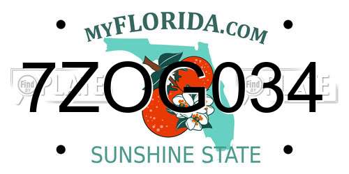 7ZOG034 Florida License Plate