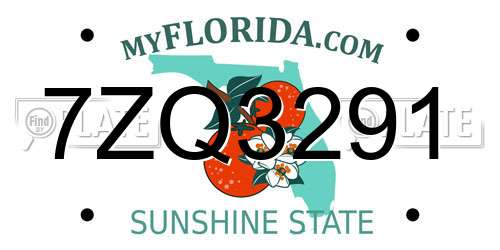 7ZQ3291 Florida License Plate