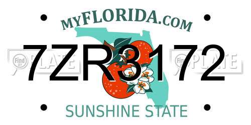 7ZR3172 Florida License Plate