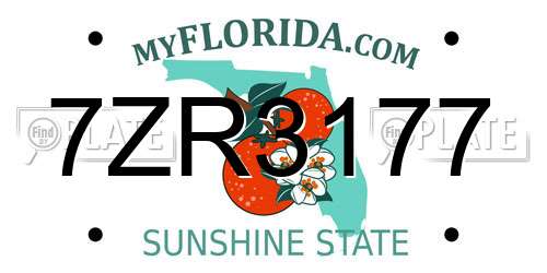 7ZR3177 Florida License Plate