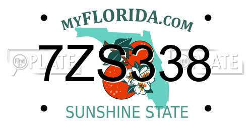 7ZS338 Florida License Plate