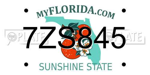 7ZS845 Florida License Plate