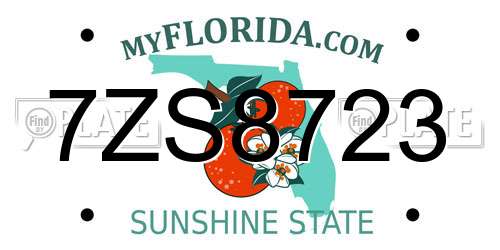 7ZS8723 Florida License Plate
