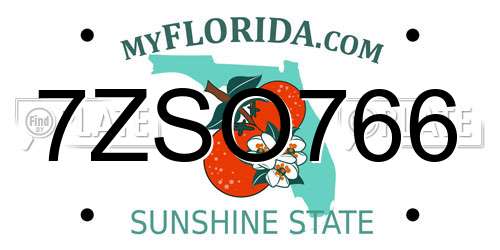 7ZSO766 Florida License Plate