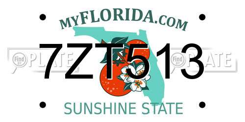 7ZT513 Florida License Plate