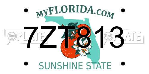 7ZT813 Florida License Plate