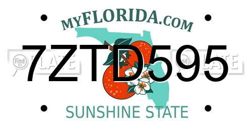 7ZTD595 Florida License Plate