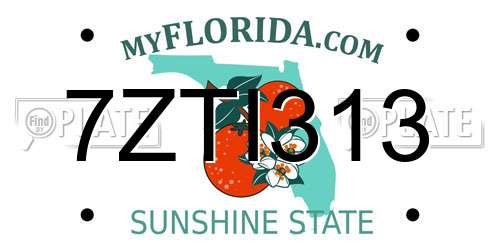 7ZTI313 Florida License Plate