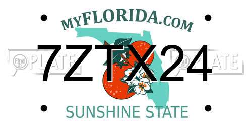 7ZTX24 Florida License Plate