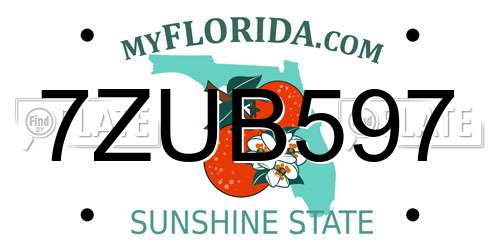 7ZUB597 Florida License Plate