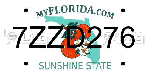 7ZZD276 Florida License Plate
