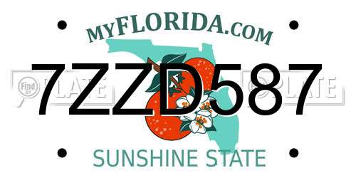 7ZZD587 Florida License Plate