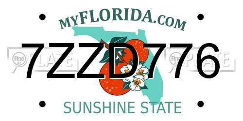 7ZZD776 Florida License Plate