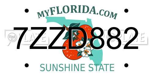 7ZZD882 Florida License Plate