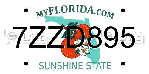 7ZZD895 Florida License Plate