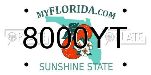 8000YT Florida License Plate