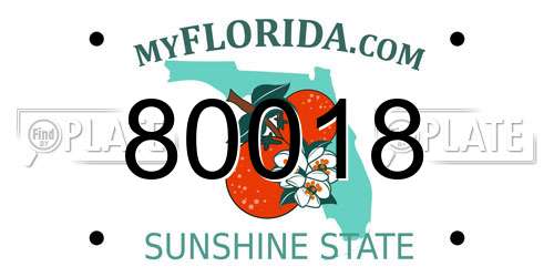80018 Florida License Plate