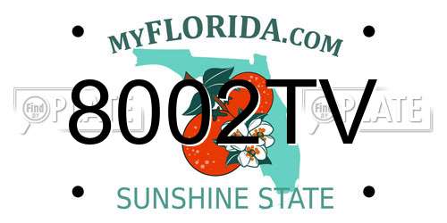 8002TV Florida License Plate