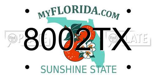 8002TX Florida License Plate