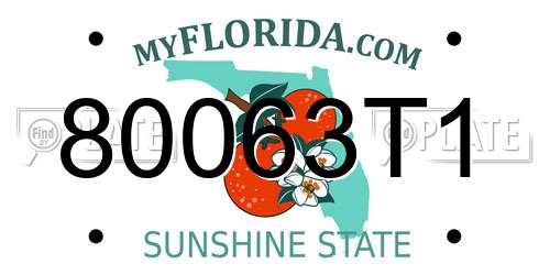 80063T1 Florida License Plate