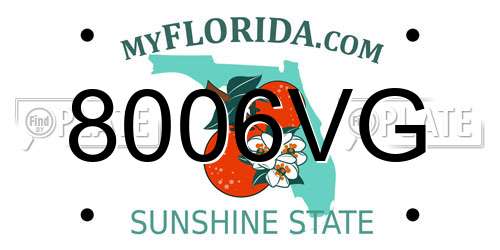 8006VG Florida License Plate
