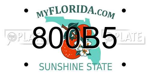 800B5 Florida License Plate