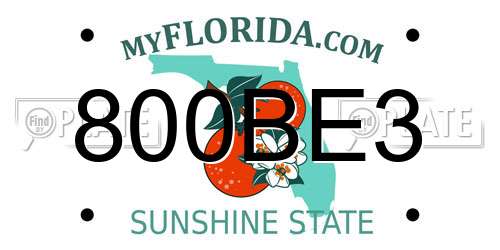 800BE3 Florida License Plate