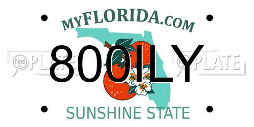 800ILY Florida License Plate