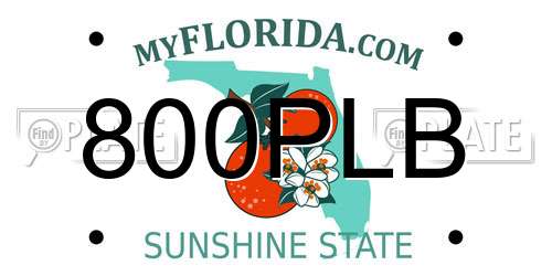 800PLB Florida License Plate