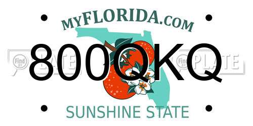 800QKQ Florida License Plate