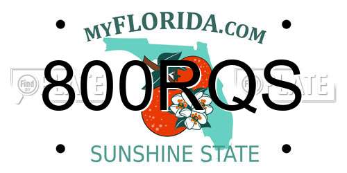 800RQS Florida License Plate