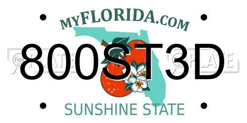 800ST3D Florida License Plate