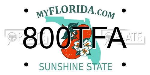 800TFA Florida License Plate