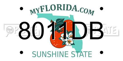 8011DB Florida License Plate